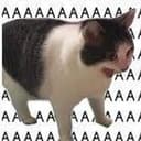 AAAAA