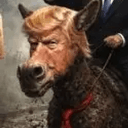 DJT