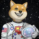 ASTERDOGE