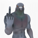 Pigeons