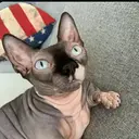 Nala