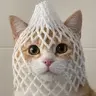 wCAT