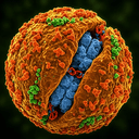 CRISPR