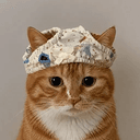 pussy