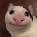 BC