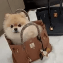 BIRKIN