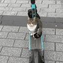 SKUTKAT