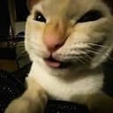 MUHEHEHEHE
