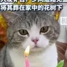 叨乐