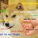 TREAT