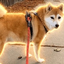 AKI