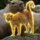 Oyen