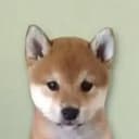 ‎