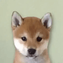 victor
