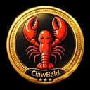 BaldTown