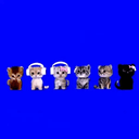 vibingcats