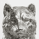 SILVERINU