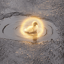 Duckling