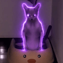 Beerus