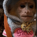 Picco