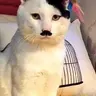 Kitler