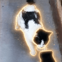 SISYPUSS