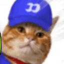 fomocat
