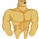 updog