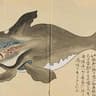 JapanWhale