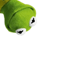 Crickets