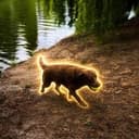 西西弗斯犬