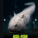 ASSFISH