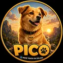 PICO