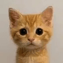 Neko