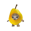 PEARCAT