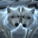 Wolves