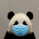 Pandamic