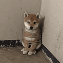 NAME?