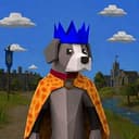 RSDOG