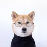 iDog