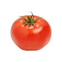 TOMATO⁠