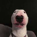 Walter
