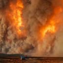 WILDFIRE