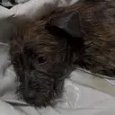 暖暖