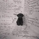 thesisdog