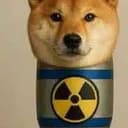 nukeinu