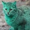 GreenCat