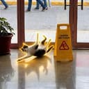 Slipcat