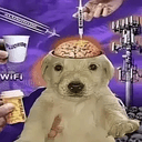 BrainDog