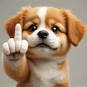flipdog